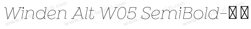 Winden Alt W05 SemiBold字体转换